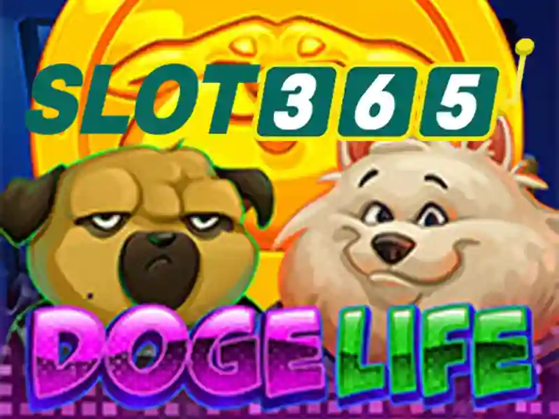 slot365 alternatif – Trải nghiệm người dùng và phản hồi cộng đồng
