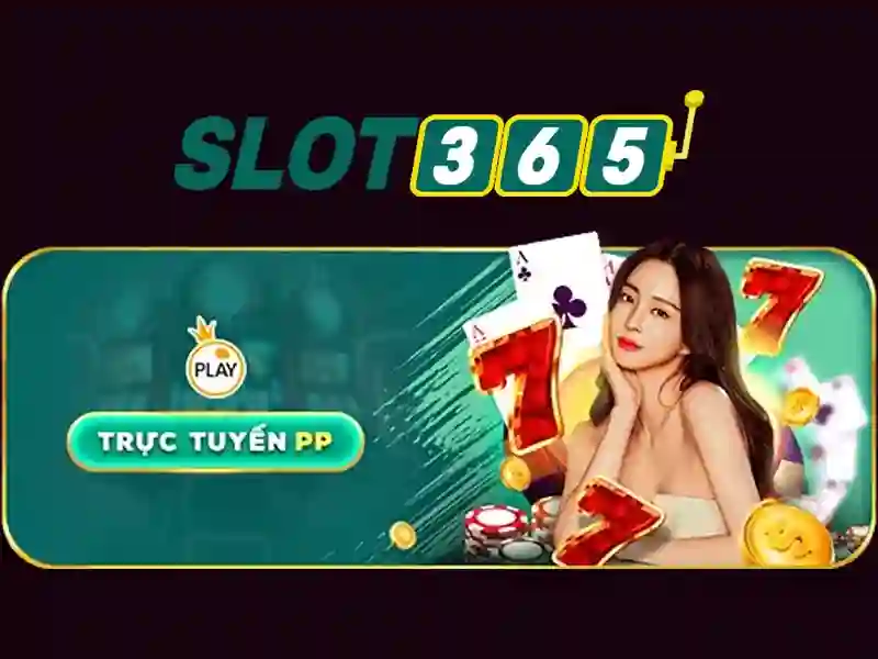 slot365 login – Trải nghiệm người dùng và phản hồi