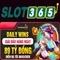 app slot365: Trải nghiệm và đánh giá toàn diện
