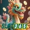 Slot365 là gì: khám phá định danh và trải nghiệm người dùng