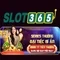 link Slot365 – Tổng quan và Trải nghiệm SEO